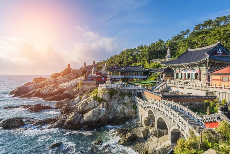 The Heritage Collection: South Korea, Joseon Elegance & Zen Botanical Gardens