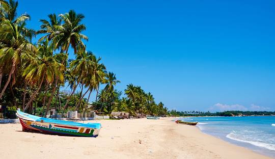 The Botanical & Highland Collection: Sri Lanka, The Island of Emerald Highlands & Ancient Grace