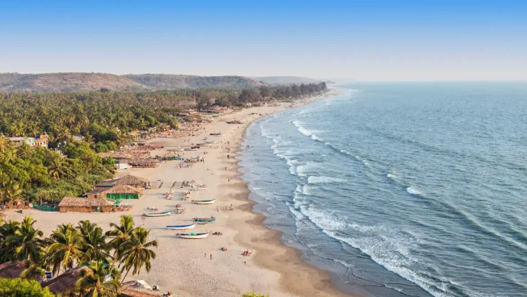 The Azure Sanctuaries: Goa Indo-Portuguese Heritage & Tropical Botany