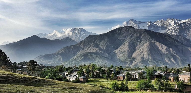 The Botanical & Highland Collection: Himachal Pradesh The Cedar Sanctuaries & Himalayan Mindfulness