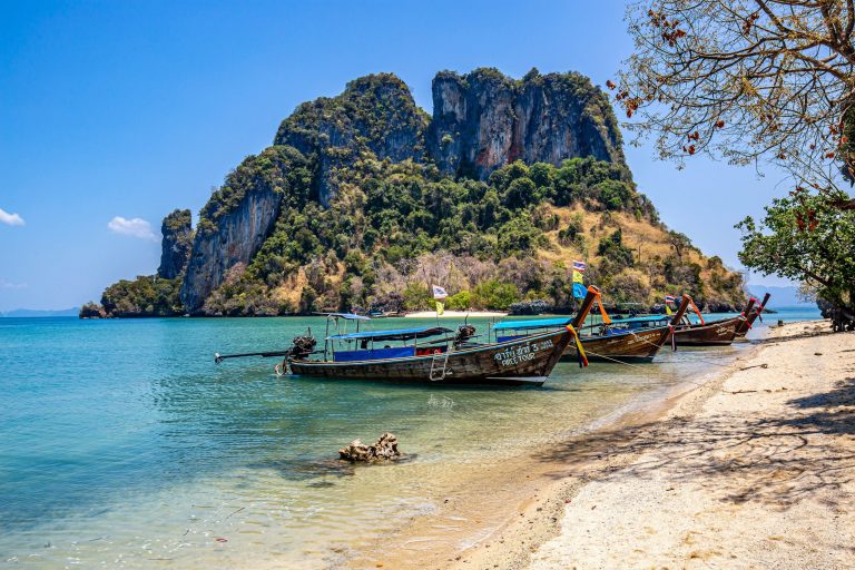 The Azure Sanctuaries: Andaman & Nicobar Islands ​Uncharted Botany & Pristine Seclusion